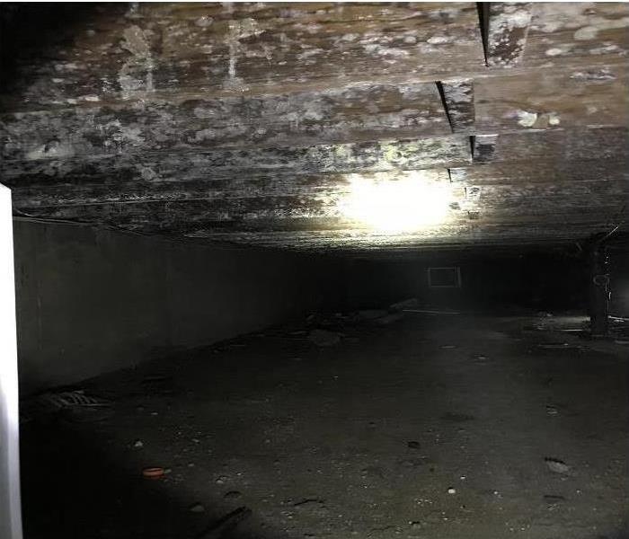 dirty and moldy joists in a crawlspace
