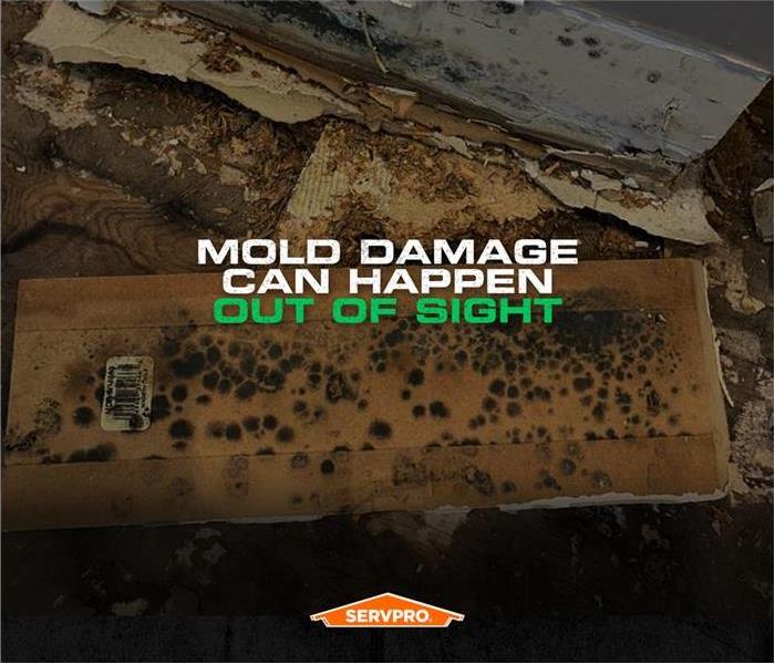 mold damage, ruined wall