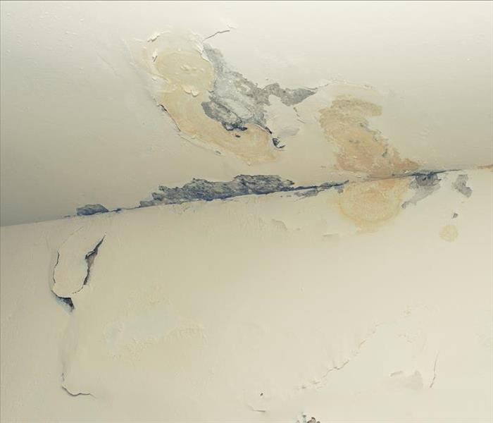 mold damage on ceiling and wall