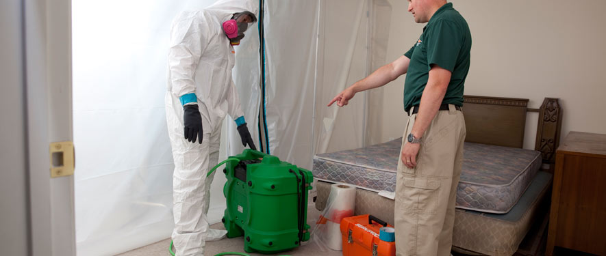 Medford, MA mold removal process